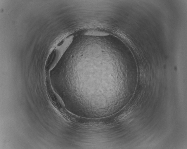 X0000068320626200605051557