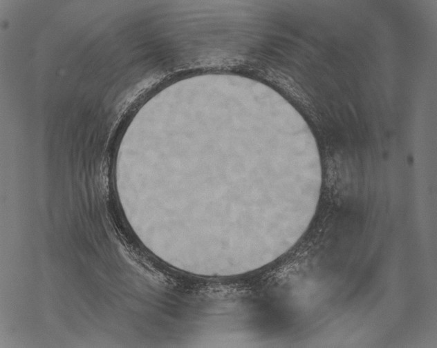 X0000068320632200605051557