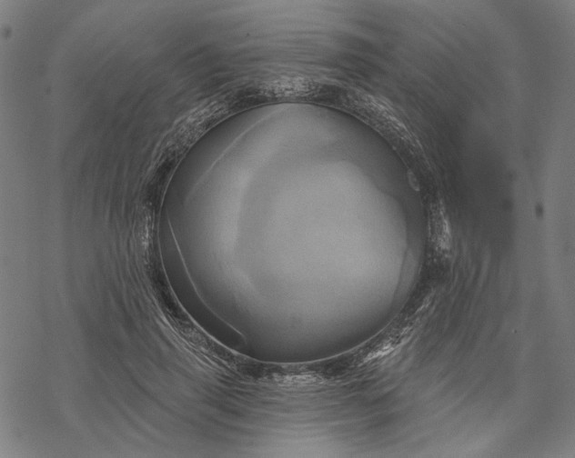 X0000068320645200605051557