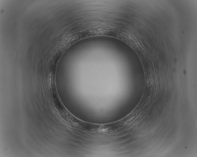 X0000068320647200605051557
