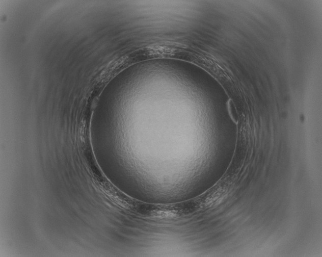 X0000068320649200605051557