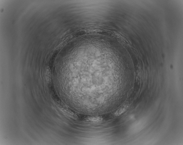 X0000068320659200605051558