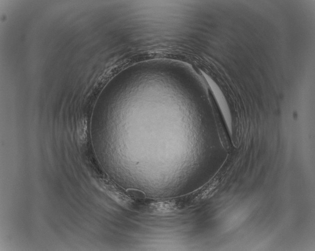 X0000068320660200605051558