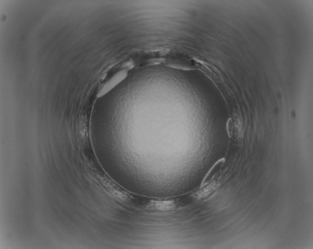 X0000068320665200605051558