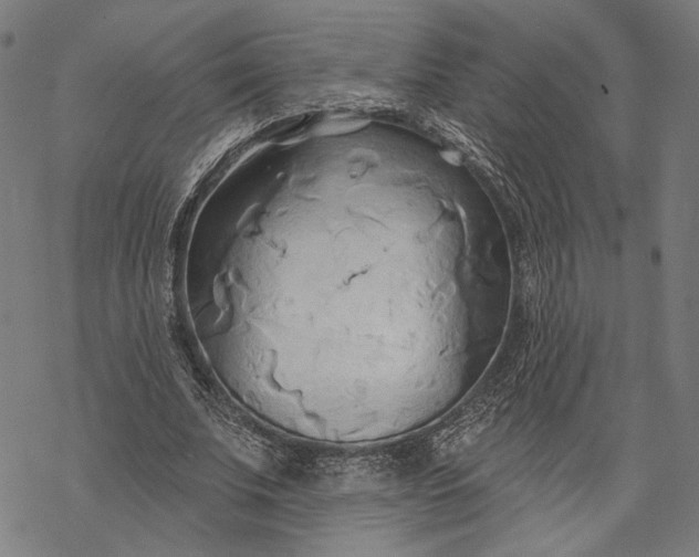 X0000068320679200605051557