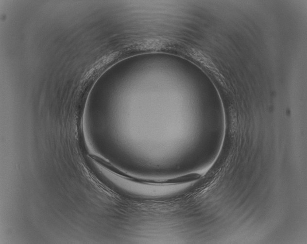 X0000068320681200605051557