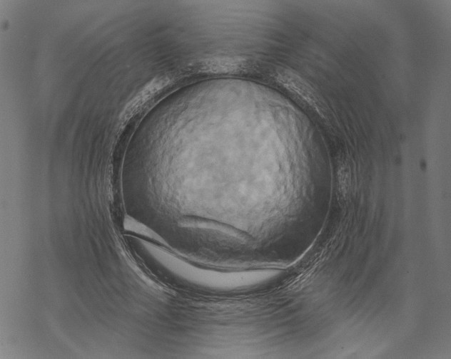 X0000068320682200605051557