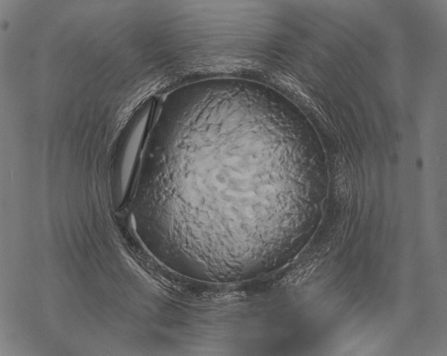X0000068320683200605051557