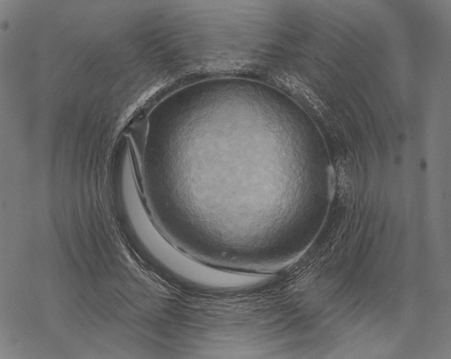 X0000068320684200605051557