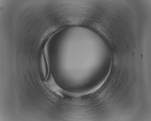 X0000068320685200605051557