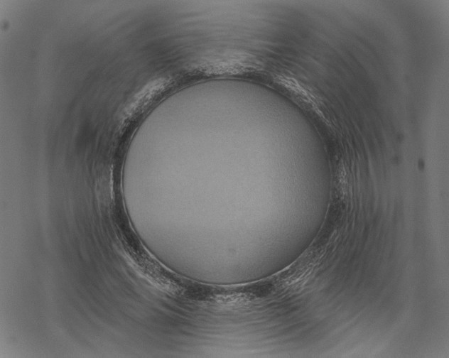 X0000068320686200605051557