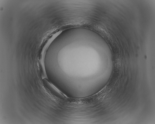 X0000068320688200605051557