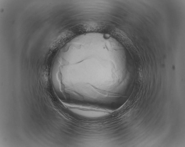 X0000068320691200605051557