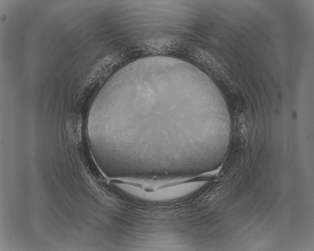X0000068320694200605051557