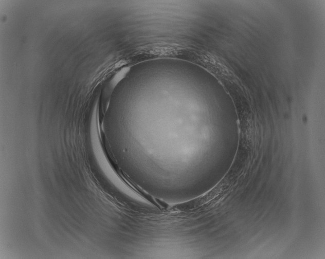 X0000068320696200605051557