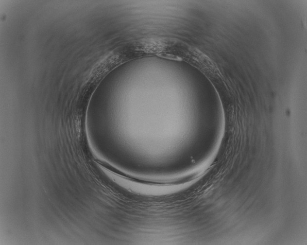 X0000068320697200605051557