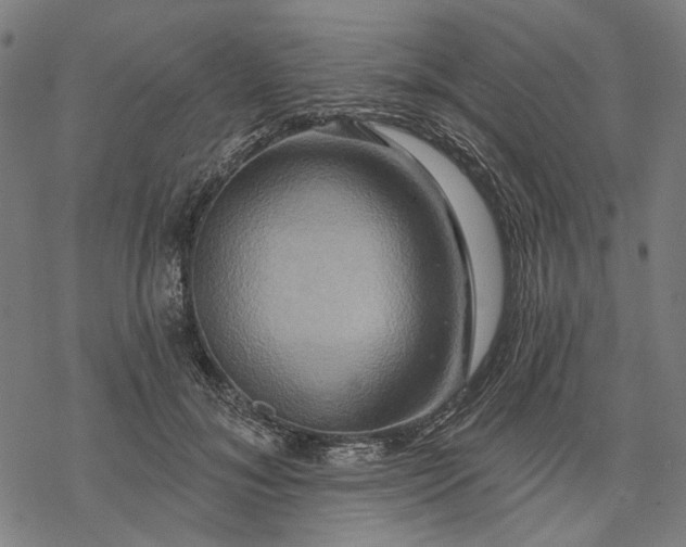 X0000068320700200605051556