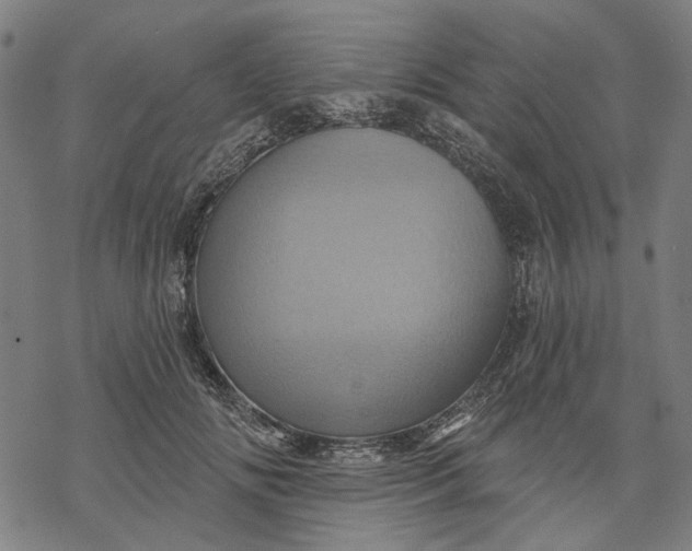 X0000068320702200605051556