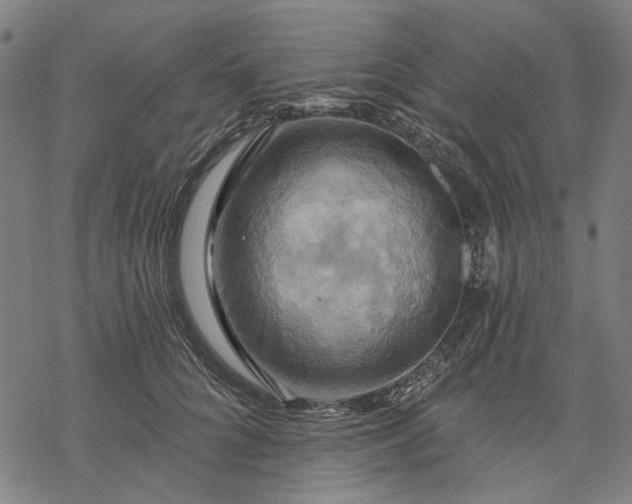 X0000068320704200605051556
