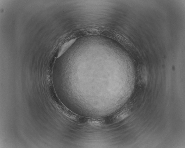 X0000068320706200605051556