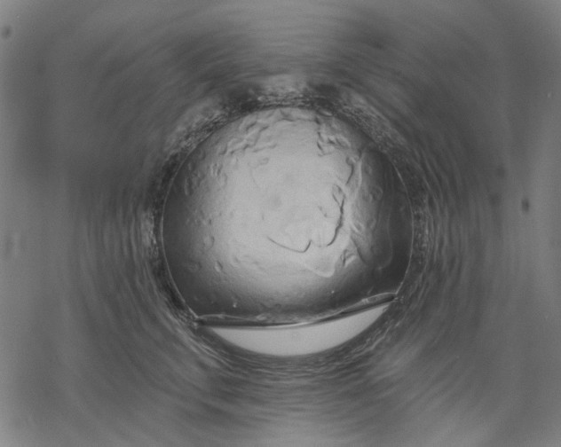 X0000068320711200605051556