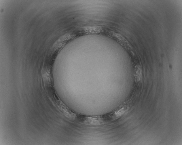 X0000068320713200605051556