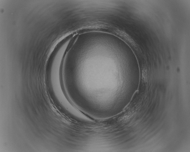 X0000068320724200605051555