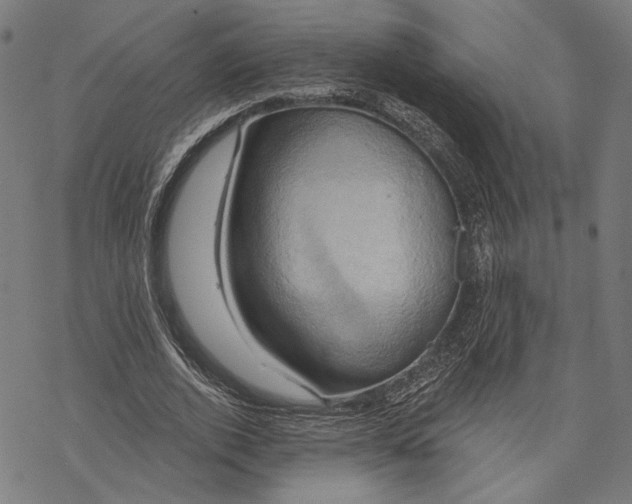 X0000068320728200605051555