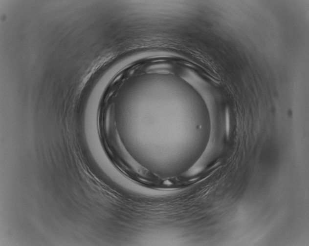 X0000068320731200605051555