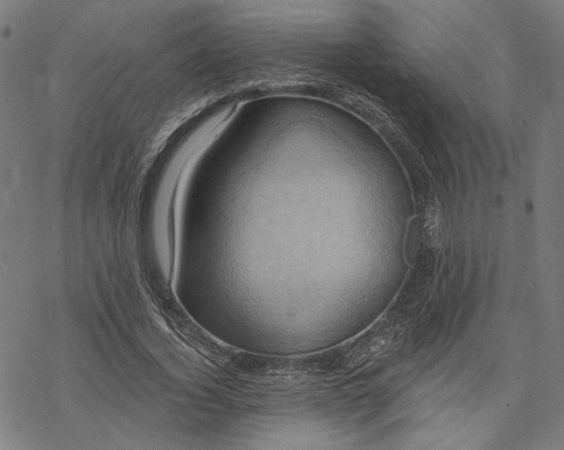 X0000068320732200605051555