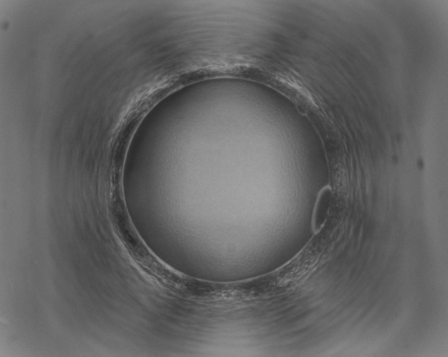 X0000068320736200605051555