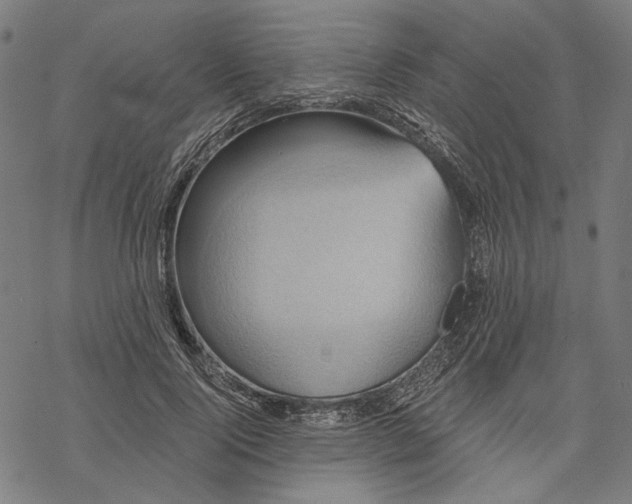 X0000068320740200605051556