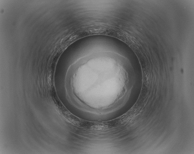 X0000068320745200605051556