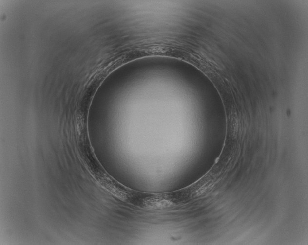 X0000068320747200605051556