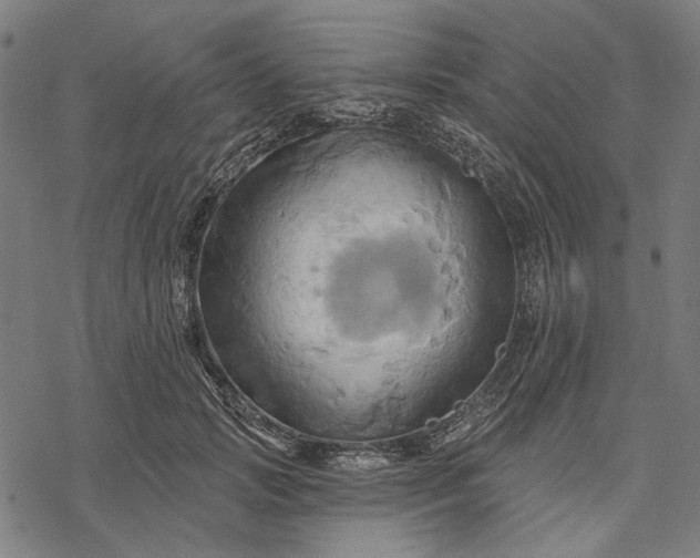 X0000068320749200605051556