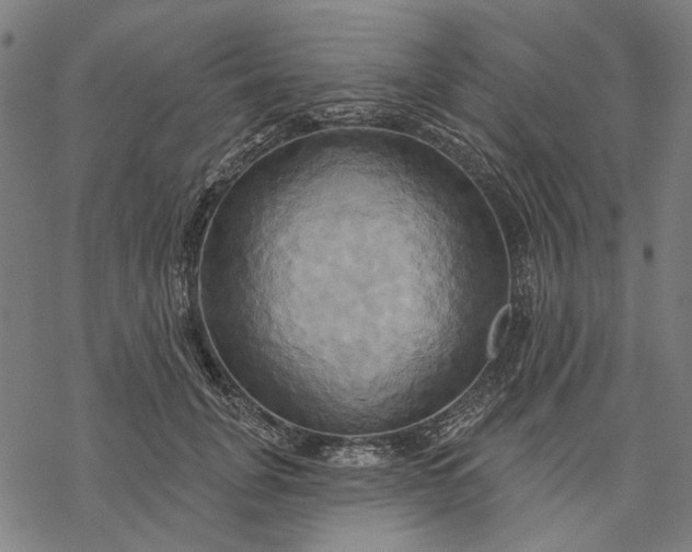 X0000068320751200605051556