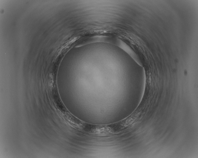 X0000068320752200605051556