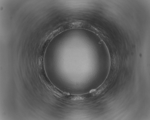 X0000068320759200605051556