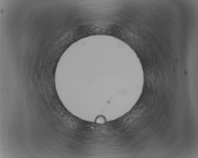 X0000068320769200605051555