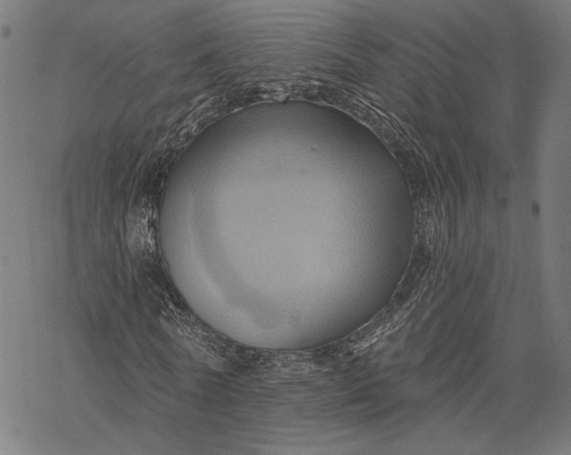 X0000068320770200605051555