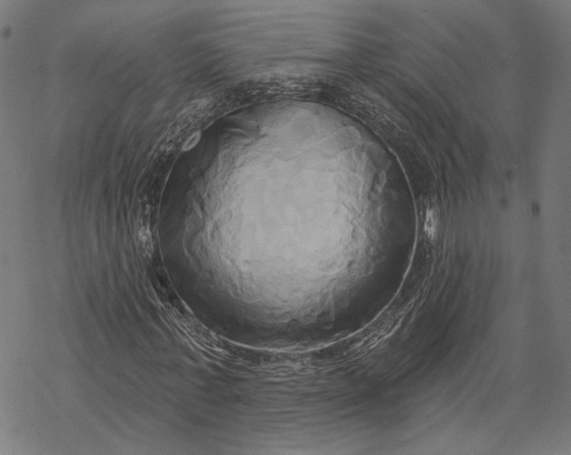 X0000068320771200605051555
