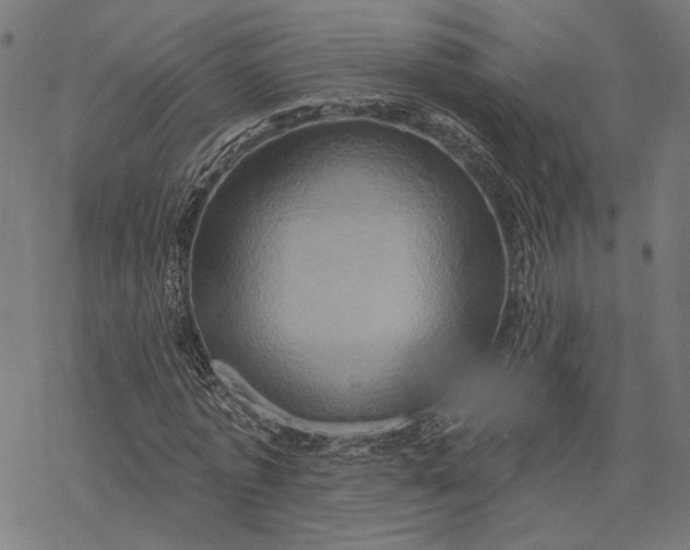 X0000068320773200605051555