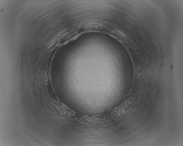 X0000068320774200605051555