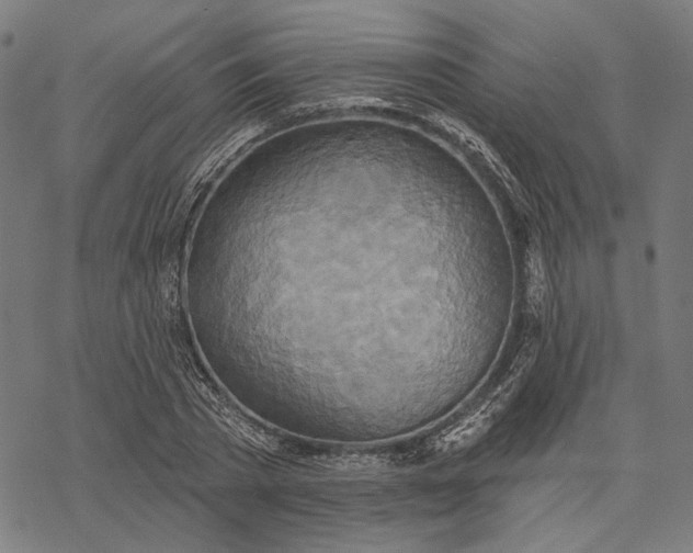 X0000068320785200605051555