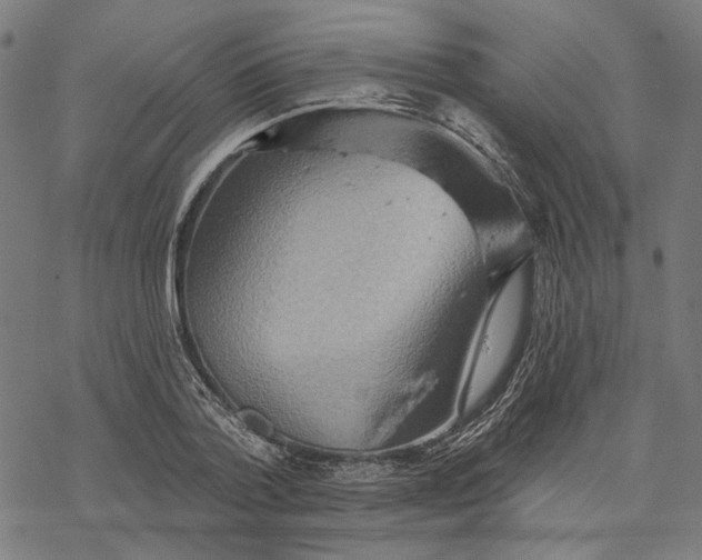X0000068320788200605051555