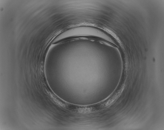 X0000068320793200605051555
