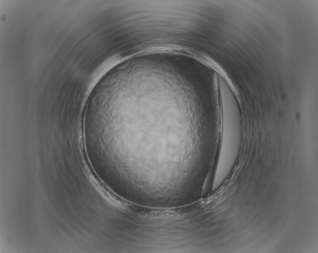 X0000068320811200605051555
