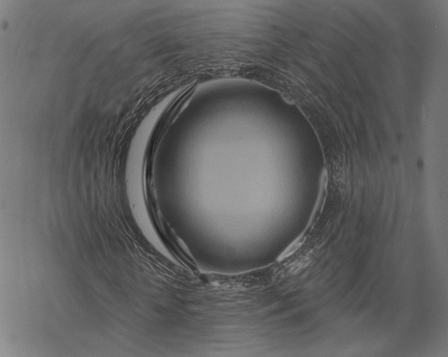 X0000068320818200605051554