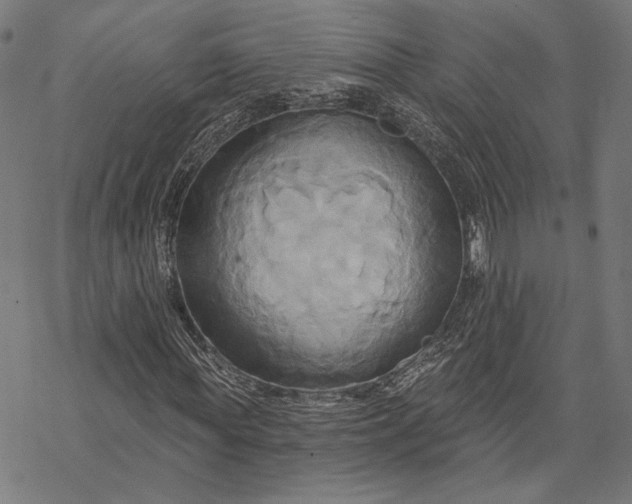 X0000068320819200605051554
