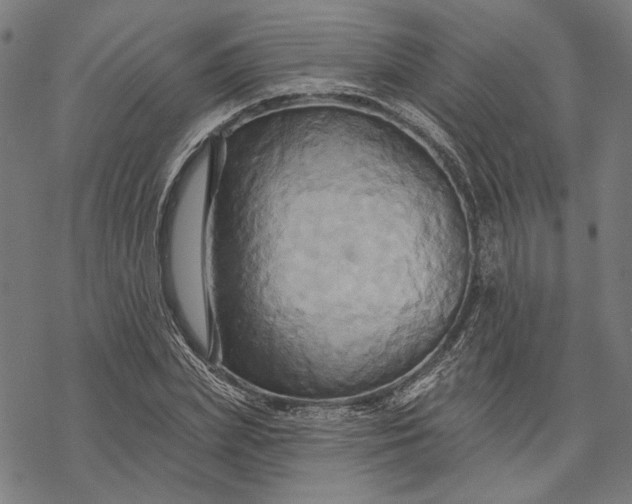 X0000068320831200605051554